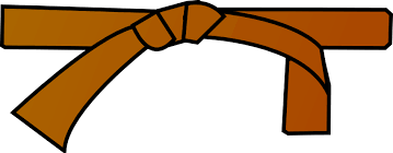 Ceinture brune